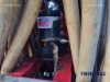 Bild von Vredo ZB3 8046 Gülleinjektor